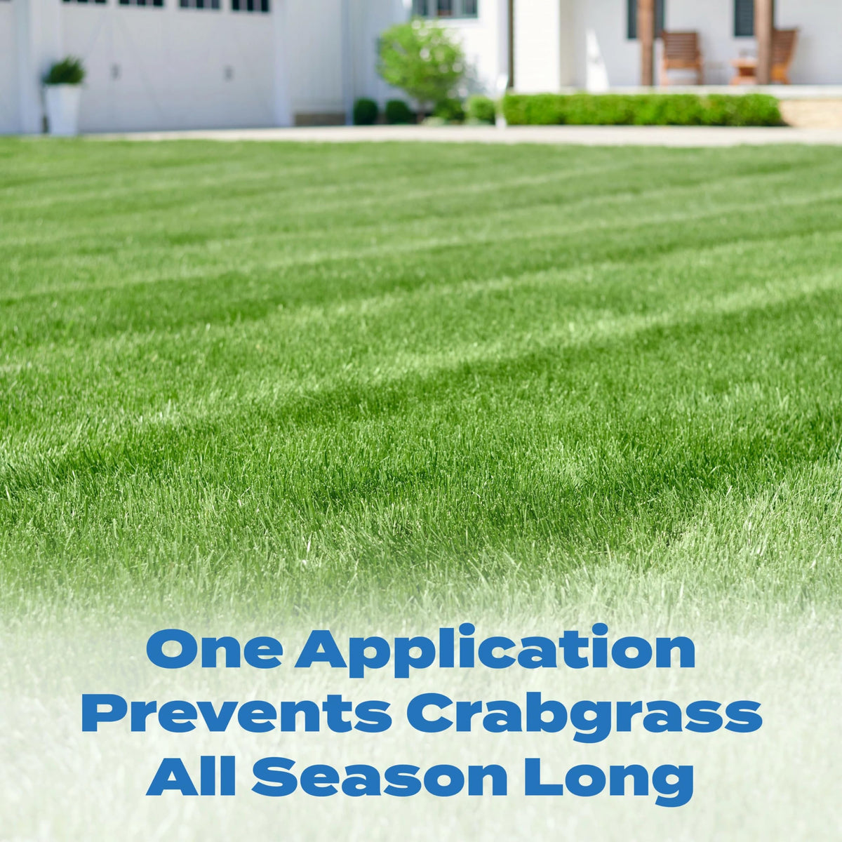 Scotts Halts Crabgrass & Grassy Weed Preventer 5,000 sq. ft.