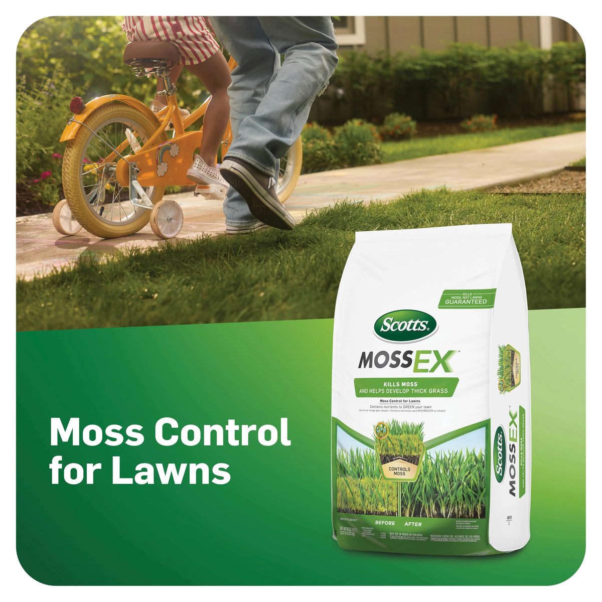 Scotts Moss Control Granules, 5,000 sq ft