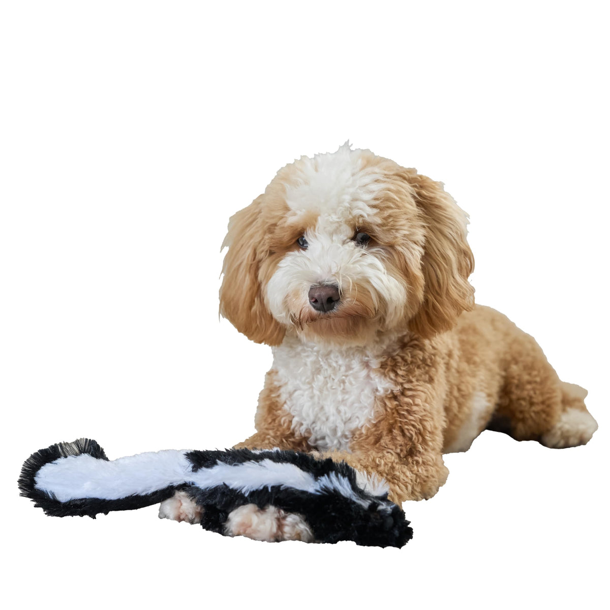 Skinneeez Mini Skunk Dog Toy (14 in.)