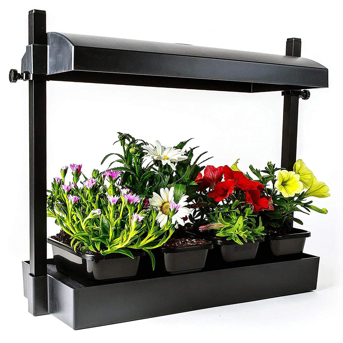 SunBlaster Micro LED Grow Light Garden Kit, Black
