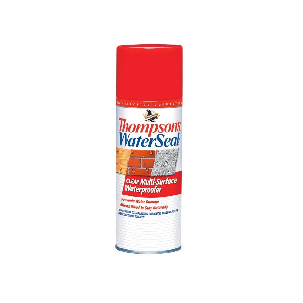 Thompson's WaterSeal TH.010100-18 Multi-Surface Waterproofer, 12 Ounce