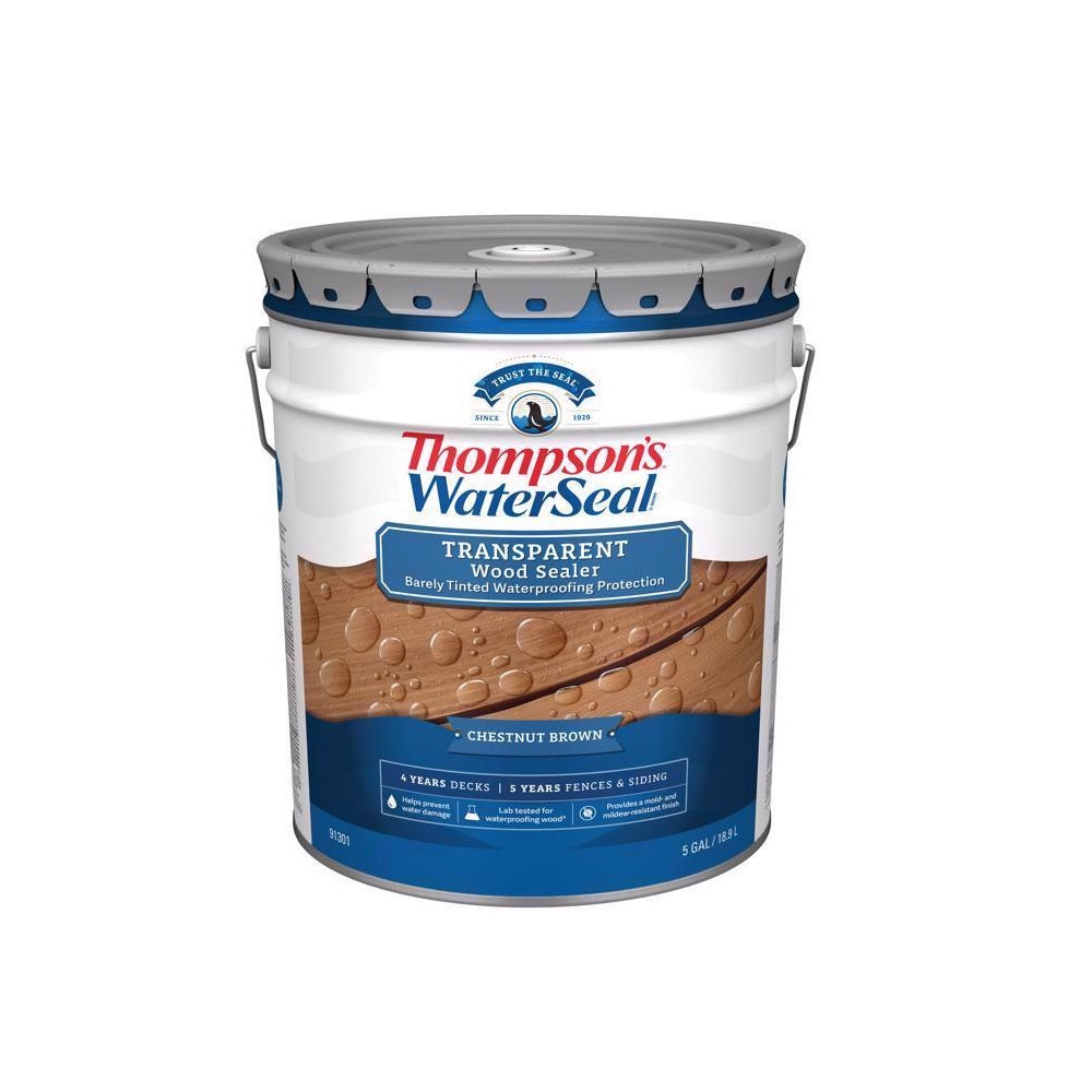 Thompson's WaterSeal TH.091301-20 Waterproofing Wood Stain and Sealer, 5 Gallon