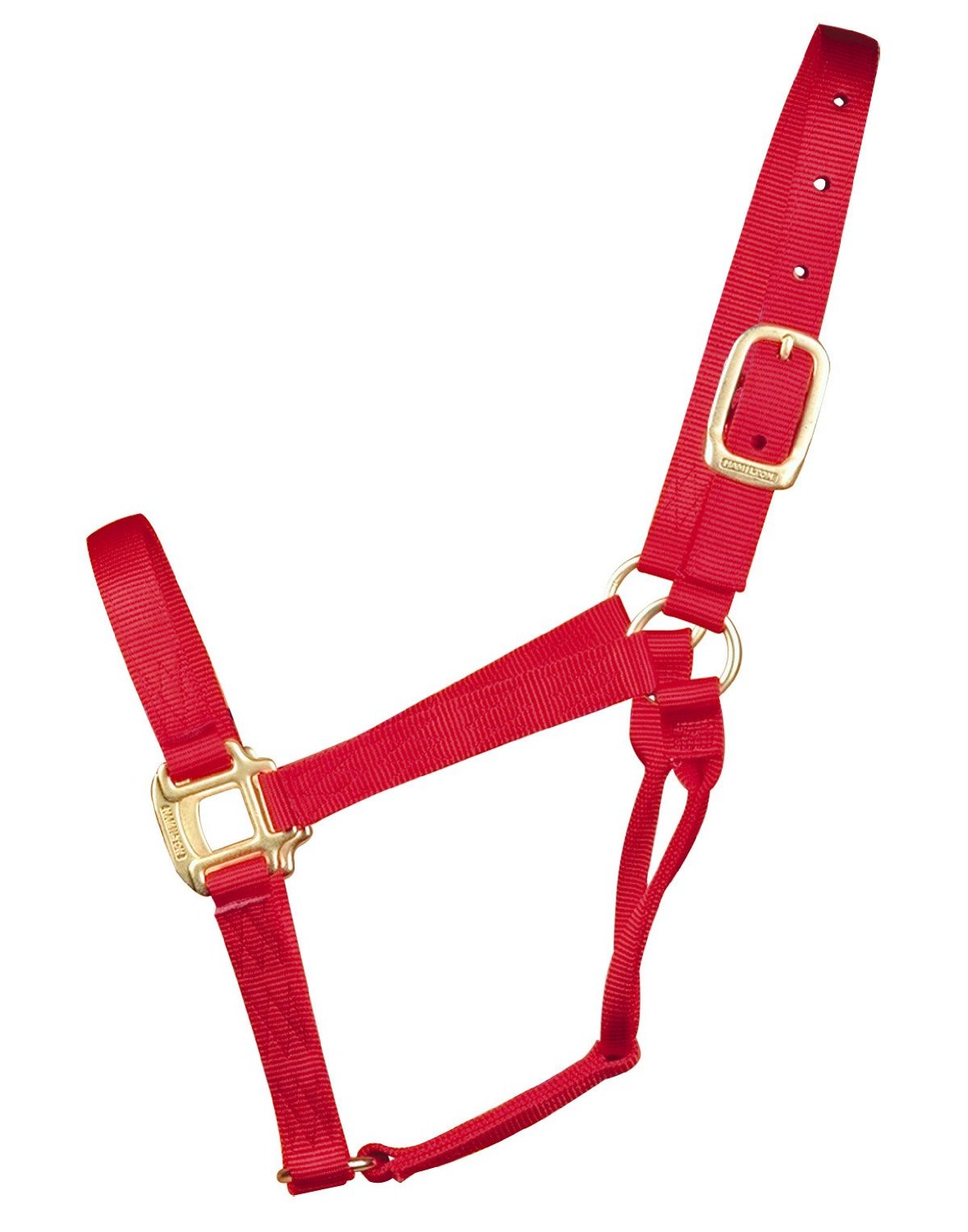 buy horse tack at cheap rate in bulk. wholesale & retail farm livestock equipments & tools store.