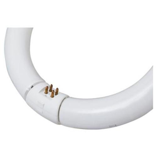 buy fluorescent circline light bulbs at cheap rate in bulk. wholesale & retail commercial lighting supplies store. home décor ideas, maintenance, repair replacement parts