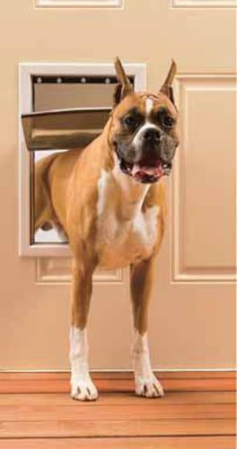 buy doors, gates & ramps for dogs at cheap rate in bulk. wholesale & retail pet care tools & supplies store.