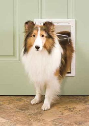 buy doors, gates & ramps for dogs at cheap rate in bulk. wholesale & retail bulk pet food supply store.