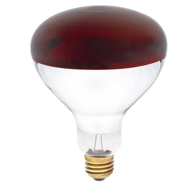 buy heat light bulbs at cheap rate in bulk. wholesale & retail outdoor lighting products store. home décor ideas, maintenance, repair replacement parts