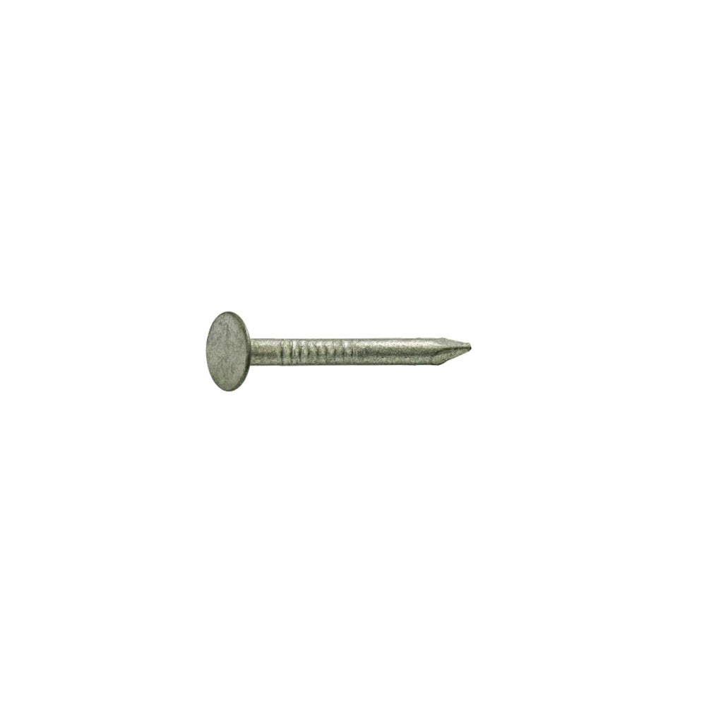 Grip-Rite 212HGRFG1 Roofing Hot-Dipped Galvanized Nail, 2-1/2 Inch