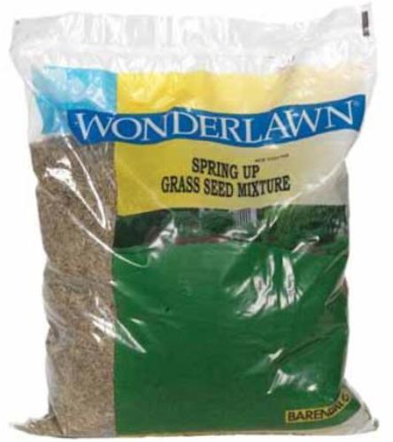 buy seeds at cheap rate in bulk. wholesale & retail lawn & plant watering tools store.