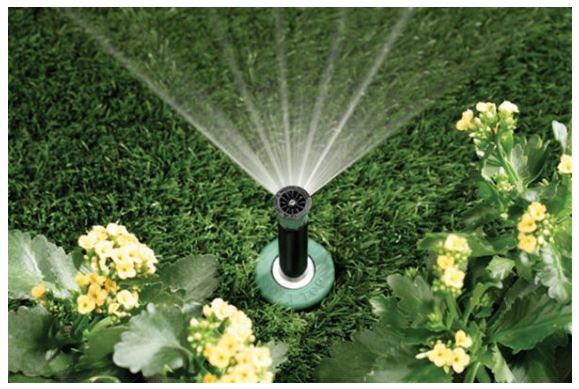 buy watering & irrigation items at cheap rate in bulk. wholesale & retail plant care supplies store.
