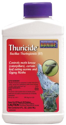 buy lawn insecticides & insect control at cheap rate in bulk. wholesale & retail lawn & plant maintenance items store.