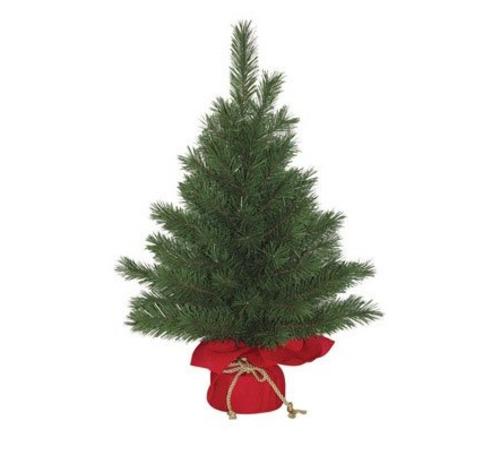 Celebrations SNX-213-20R Noble Seedling Prelit Tree, 2', 35 Clear Lights