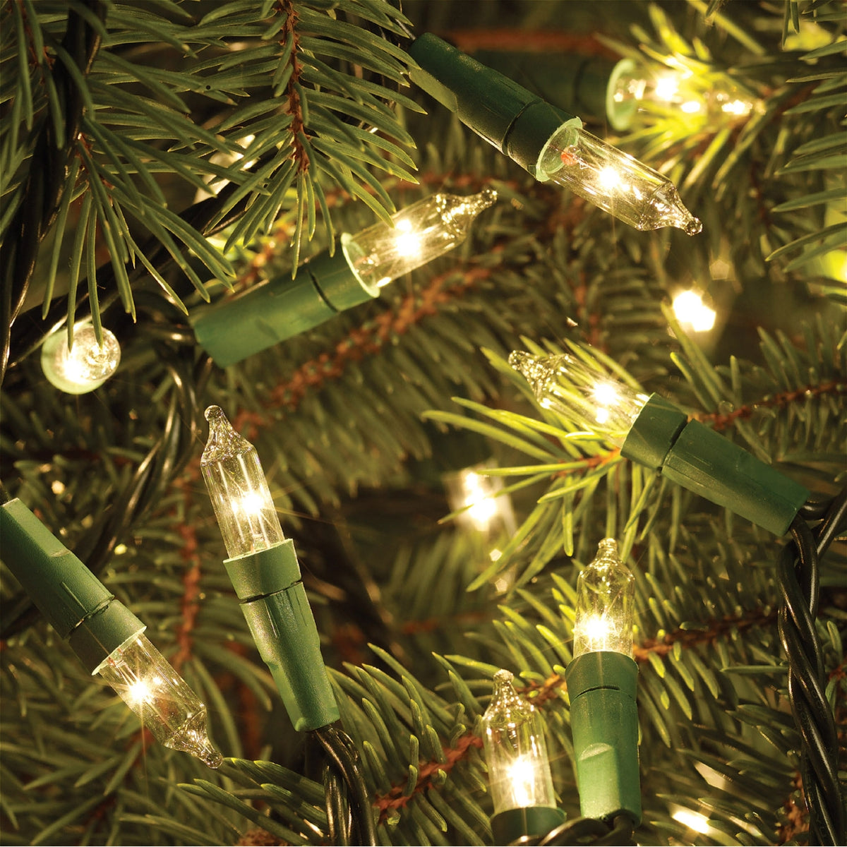 Celebrations L827G111 Heavy Duty Mini Light Set, 41', 100 Clear Lights