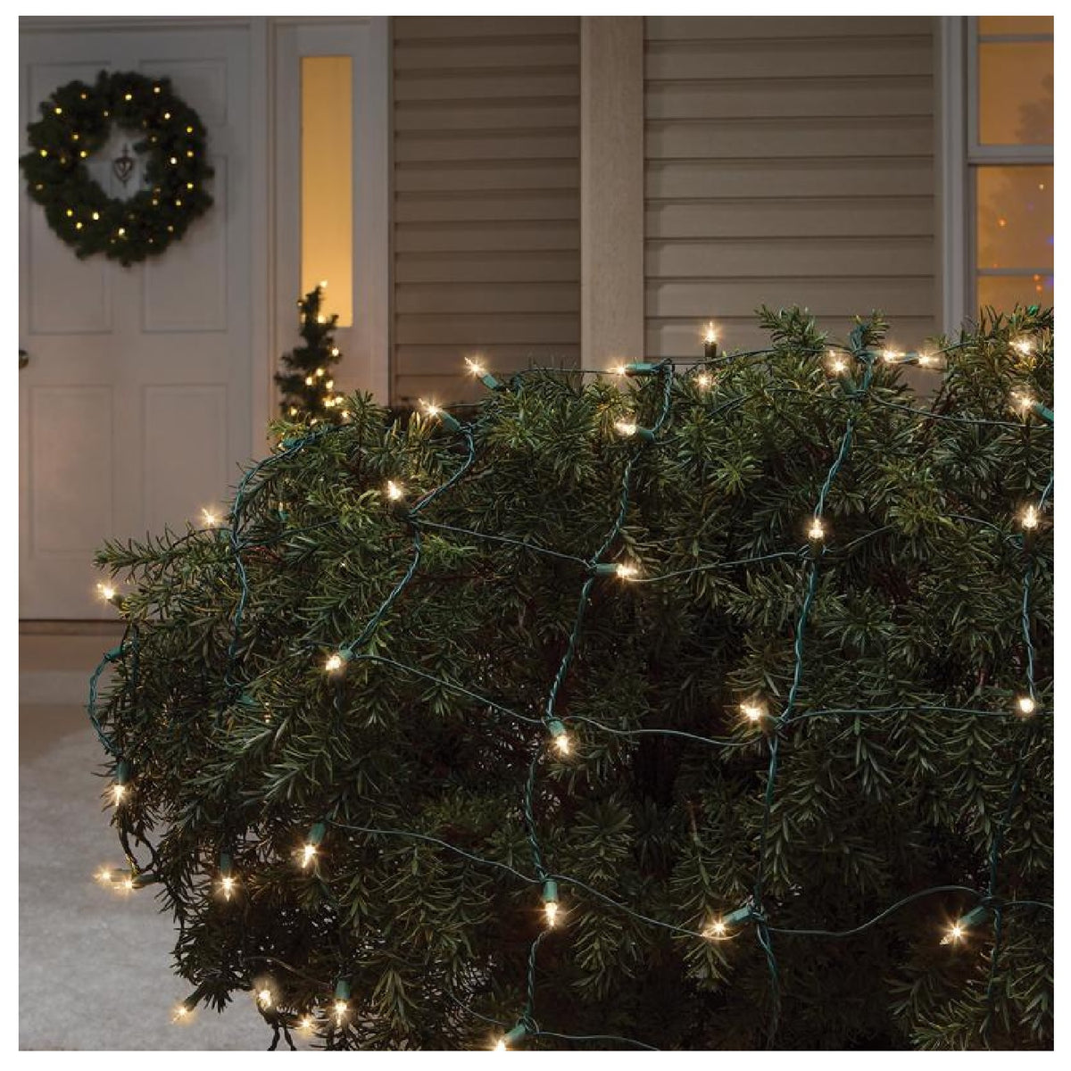 Celebrations 48950-71 Commercial Net Lights, 4' x 6', 150 Clear Lights