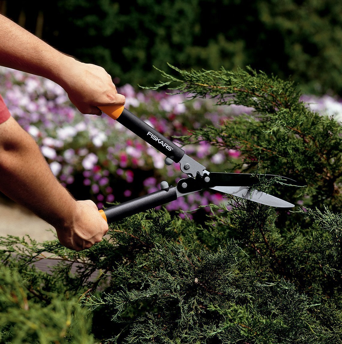 buy shears at cheap rate in bulk. wholesale & retail lawn & garden goods & supplies store.