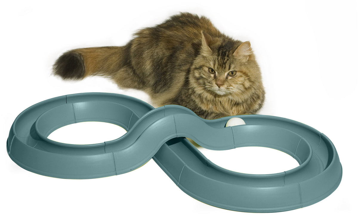 Bergan 88150 Turbo Track Cat Toy