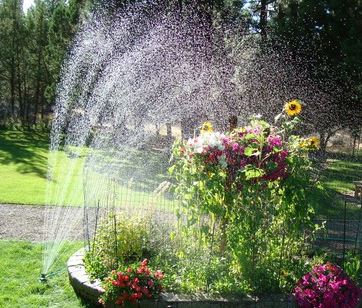 buy lawn sprinklers at cheap rate in bulk. wholesale & retail lawn & plant equipments store.
