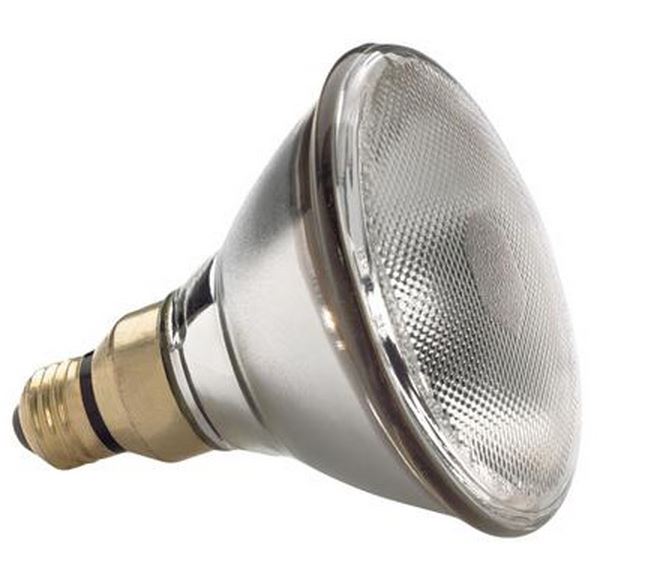 buy halogen light bulbs at cheap rate in bulk. wholesale & retail lighting equipments store. home décor ideas, maintenance, repair replacement parts