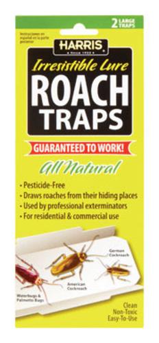 buy insect traps & baits at cheap rate in bulk. wholesale & retail office pest control items store.