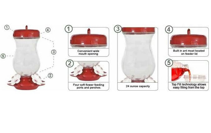 Perky Pet 132TF Top Fill Glass Hummingbird Feeder, 24 Oz