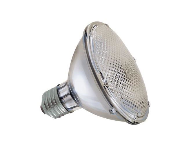 buy halogen light bulbs at cheap rate in bulk. wholesale & retail lighting replacement parts store. home décor ideas, maintenance, repair replacement parts