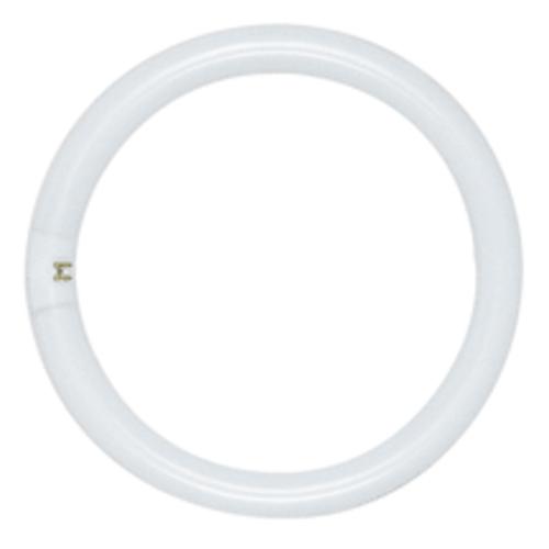 buy fluorescent circline light bulbs at cheap rate in bulk. wholesale & retail lighting & lamp parts store. home décor ideas, maintenance, repair replacement parts