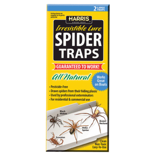 Harris STRP SPIDER TRAPS, 2/PK