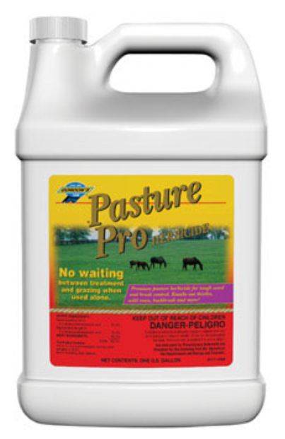 Gordon 8111072 Pasture Pro Pasture Herbicide, 1Gallon