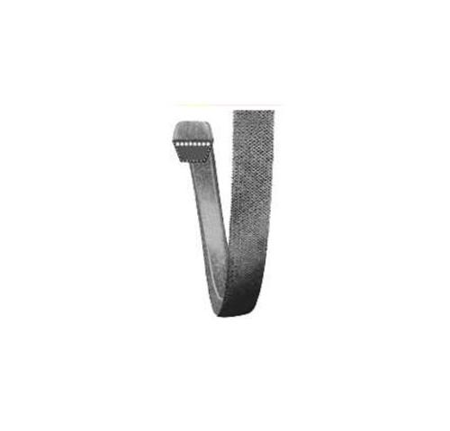 buy small engine v-belts at cheap rate in bulk. wholesale & retail garden maintenance power tools store.