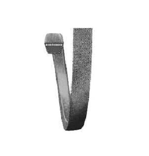 buy small engine v-belts at cheap rate in bulk. wholesale & retail garden maintenance power tools store.