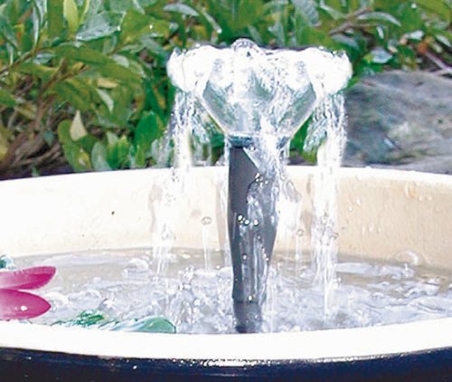 buy water gardens & ponds at cheap rate in bulk. wholesale & retail garden pots and planters store.