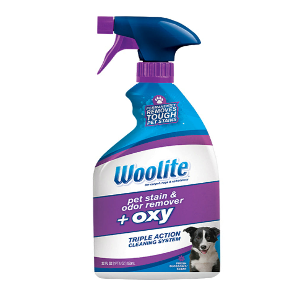 Woolite 0890 Carpet Pet Stain & Odor + Oxy Spray, 22 Oz