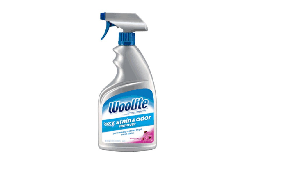 Woolite 0805 Oxy Deep Stain & Odor Remover, 22 Oz