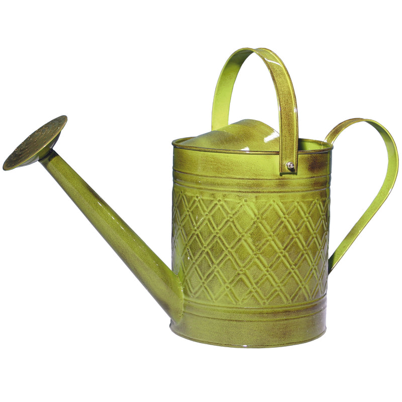 Robert Allen MPT01500 Wexley Watering Can, 2 Gallon Capacity