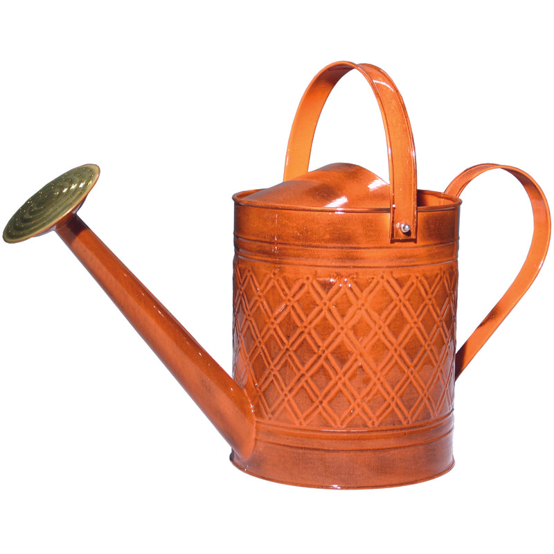 Robert Allen MPT01502 Wexley Watering Can, 2 Gallon Capacity