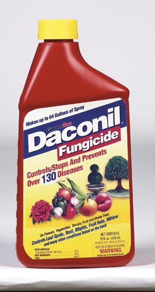 Gulf Stream Home & Garden 2115 Danconil Fungicide Concentrate, 16 Oz ...