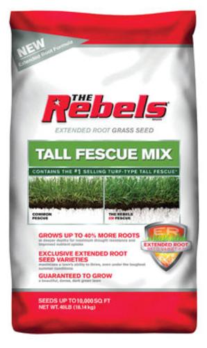 buy seeds at cheap rate in bulk. wholesale & retail lawn & plant care sprayers store.