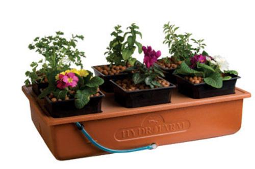 Hydrofarm EMSYST Emily's Garden System, 2 Galllon