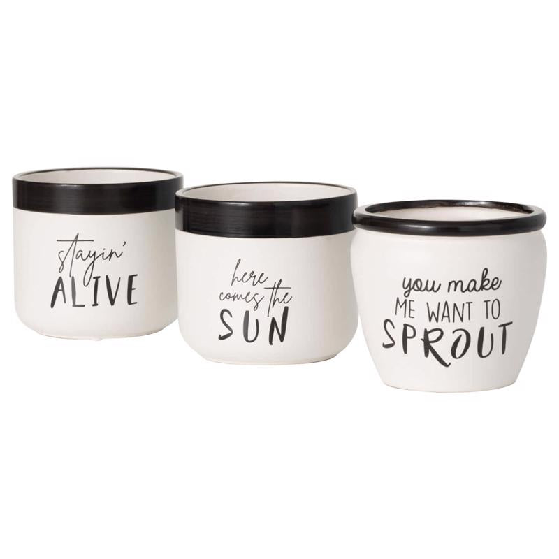 Sullivans ACE135 Fun Text Planter Set, Black/White