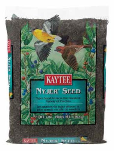 Kaytee 100033677 Nyjer Seed 3 lbs