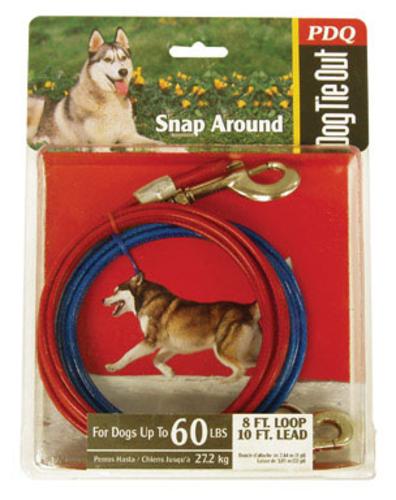 buy dogs tie-outs & accessories at cheap rate in bulk. wholesale & retail birds, cats & dogs supplies store.