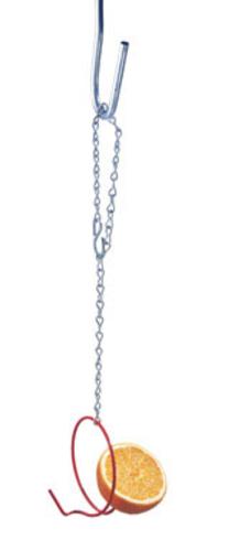 Droll Yankees FF Fruit Bird Feeder Chain With Hook Holds 2 Fruits,4"