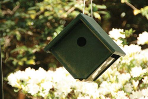 Songbird Essentials SERUBWH105 Recycled Plastic Wren House Hunter/Ivory