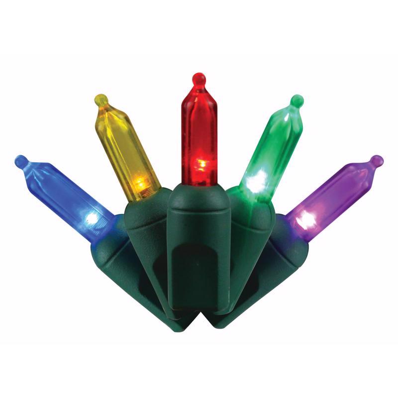 Celebrations T550MU6A Platinum LED String Christmas Lights, 25 Feet