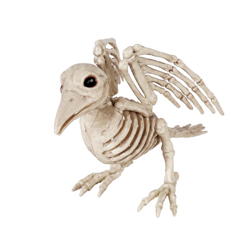Seasons W83241 Halloween Bird Skeleton, 9 Inch