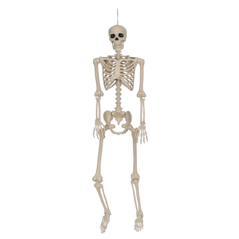 Seasons W83343 Halloween Skeleton, 5 Feet