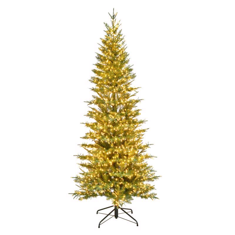 Celebrations TDDOP7S04A Slim LED Dalton Christmas Tree, 7 Feet