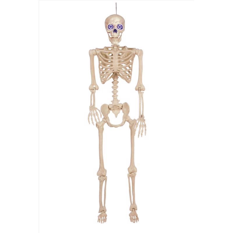 Seasons W83225 LED Halloween Skeleton, 60 Inch