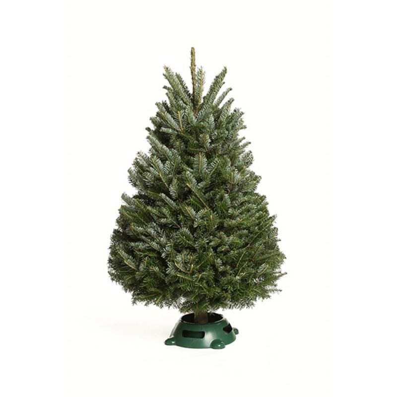 Kirk ELF0003NB Full Elf Christmas Tree, 3 Ft