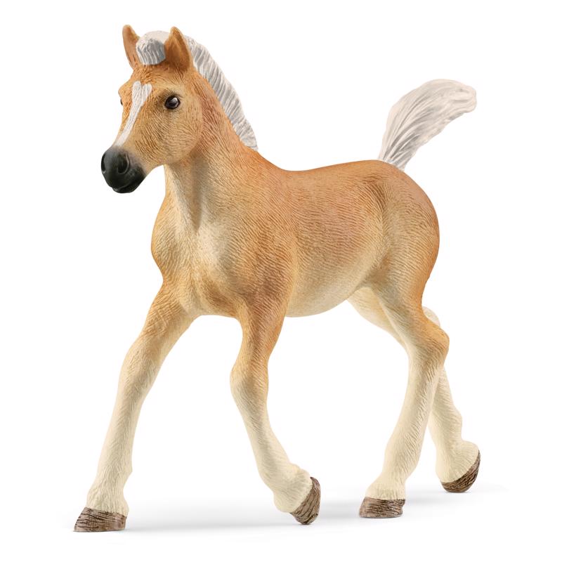 Schleich 13951 Haflinger Horse Foal Figurine, Snow White